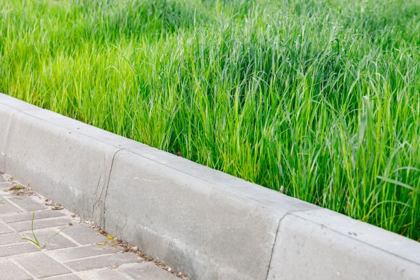 Cost of Concrete Curb Repair in Denver