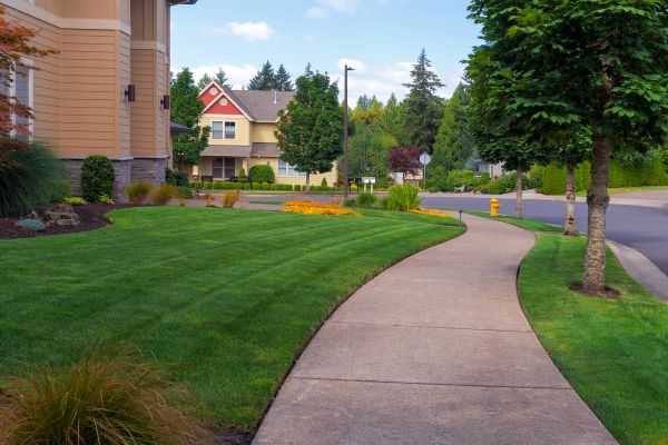 Cost of Sidewalk Patching in Denver