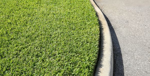 Driveway Curb Repair in Denver