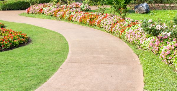 Cost of Sidewalk Maintenance in Denver