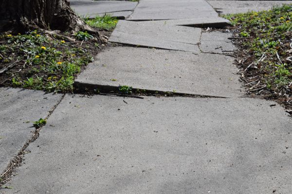 Cost of Trip Hazard Removal in Denver